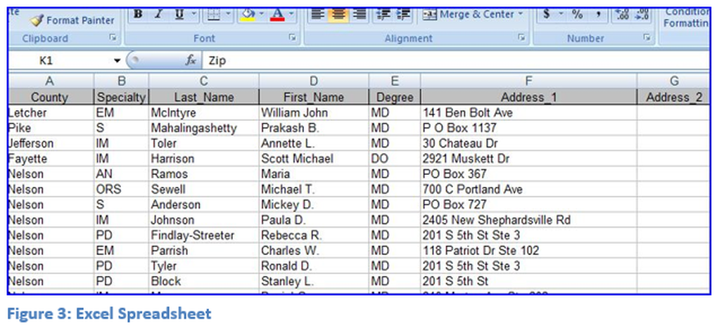 Figure 3: Excel Spreadsheet