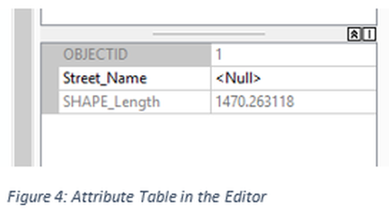 Figure 4: Attribute Table in the Editor
