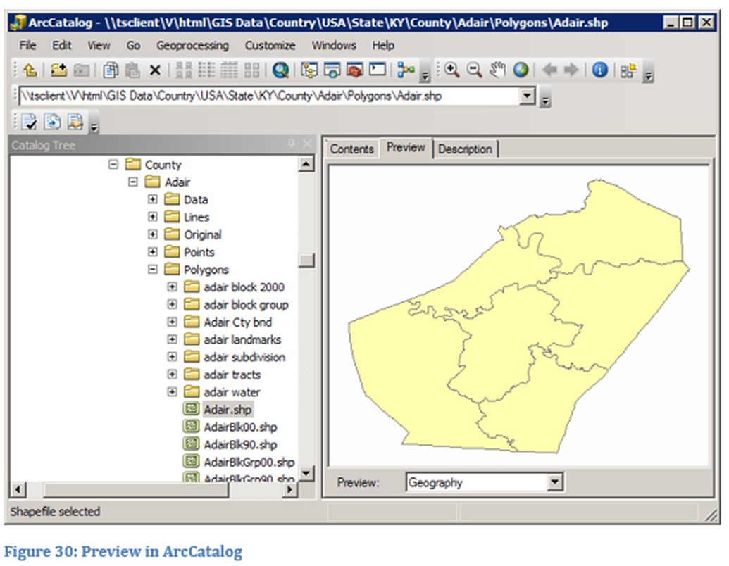 Figure  30: Preview in ArcCatalog